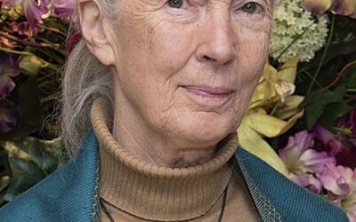Jane Goodall: una forza della natura per dare forza alla natura – di Roberto Maestri