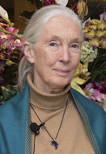 Jane Goodall: una forza della natura per dare forza alla natura – di Roberto Maestri